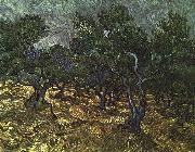 Vincent Van Gogh The Olive Grove oil painting